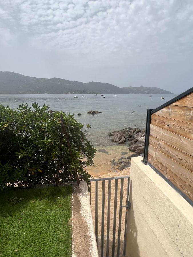Appartement 2-4 Pers, Acces Direct Mer Casaglione المظهر الخارجي الصورة